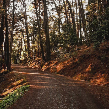 GOLD RUSH GLOW Oil Cleanser | 50 ml